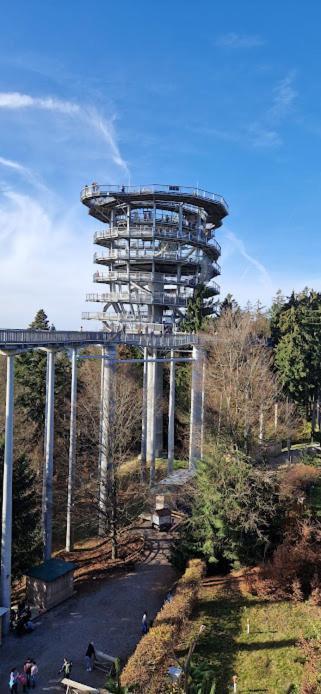 Pools, Sauna Und Balkon Mit Panoramablick Sankt Englmar Exteriör bild